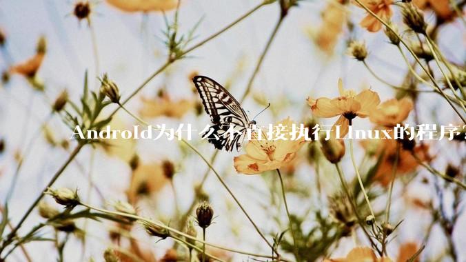 Android为什么不直接执行Linux的程序？而是自己搞一套？