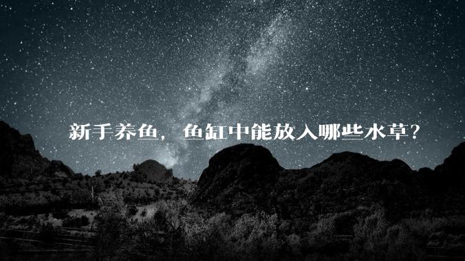 新手养鱼，鱼缸中能放入哪些水草？