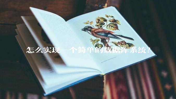 怎么实现一个简单的数据库系统？