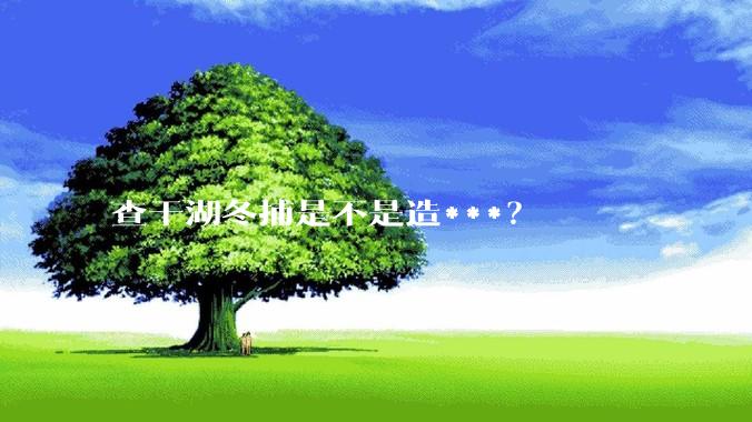 查干湖冬捕是不是造***？