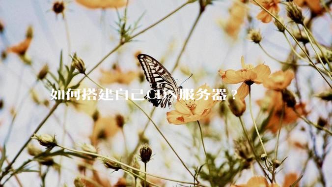 如何搭建自己CDN服务器?