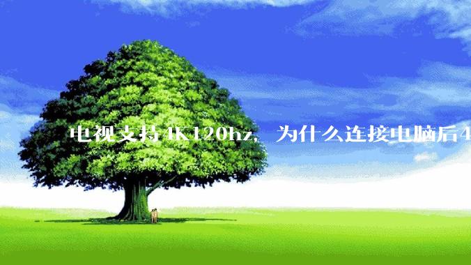 电视支持4K120hz，为什么连接电脑后4K下最高只能选择60hz？