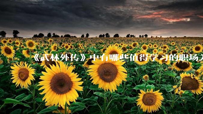《武林外传》中有哪些值得学习的职场关系？
