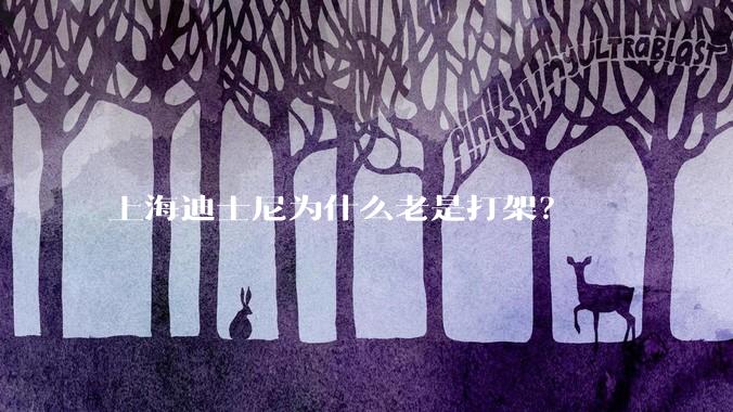 上海迪士尼为什么老是打架？