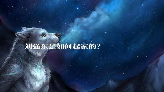 刘强东是如何起家的？