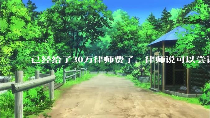 已经给了30万律师费了，律师说可以尝试找关系运转争取缓刑，但要60万奖励金，能不能信？