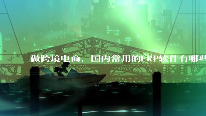 做跨境电商，国内常用的ERP软件有哪些？ - *