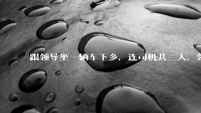 跟领导坐一辆车下乡，连司机共三人，领导问我「听说办公室主任人缘不好，你有听说吗？」，我该怎么回答？