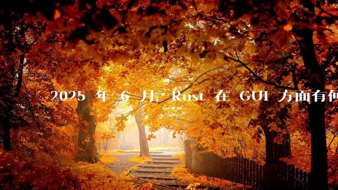 2025 年 6 月，Rust 在 GUI 方面有何大的进展? 你最看好哪个框架?