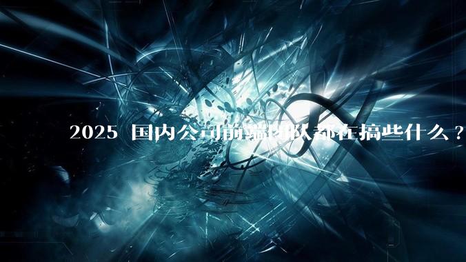 2025 国内公司前端团队都在搞些什么?