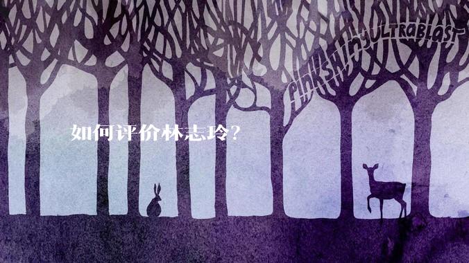 如何评价林志玲？