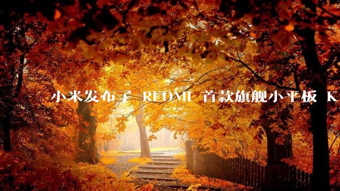 小米发布了 REDMI 首款旗舰小平板 K Pad，仅 8.8 英寸，小巧便携，如何评价这一设计？