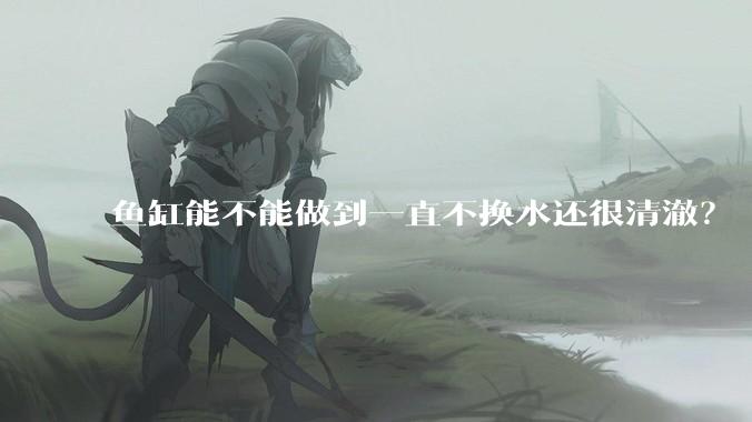 鱼缸能不能做到一直不换水还很清澈？
