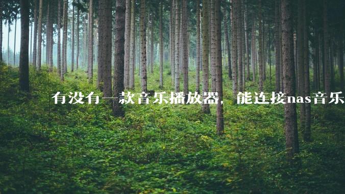 有没有一款音乐播放器，能连接nas音乐，创建音乐库，自动匹配歌词封面等等？类似infuse的概念呢？