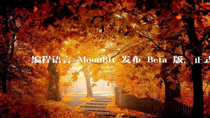 编程语言 MoonBit 发布 Beta 版，正式进入企业场景应用，会带来哪些影响？