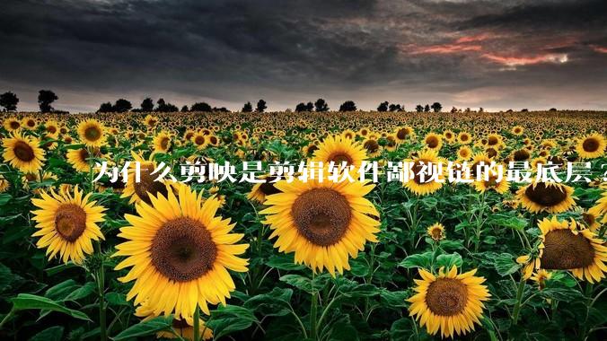为什么剪映是剪辑软件鄙视链的最底层?