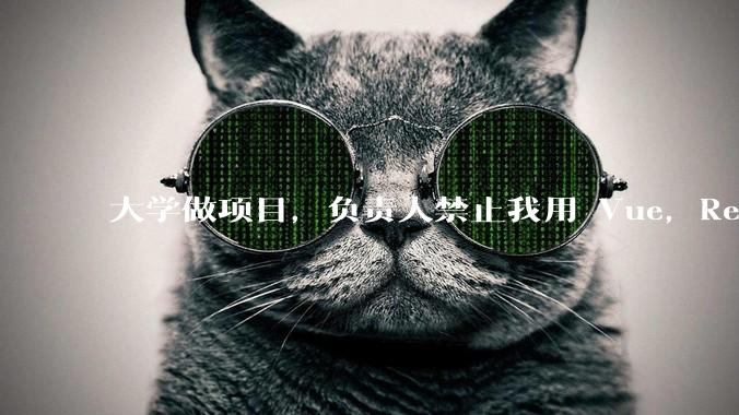 大学做项目，负责人禁止我用 Vue，React，让我用基础 HTML，CSS，JS 开发前端怎么办?